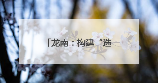 龙南：构建“选育管用”全链条闭环机制 激活社区治理“新引擎”