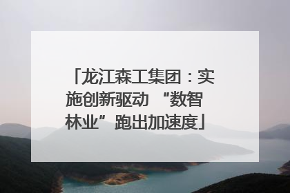 龙江森工集团：实施创新驱动 “数智林业”跑出加速度