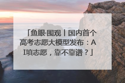 鱼眼·围观丨国内首个高考志愿大模型发布：AI填志愿，靠不靠谱？