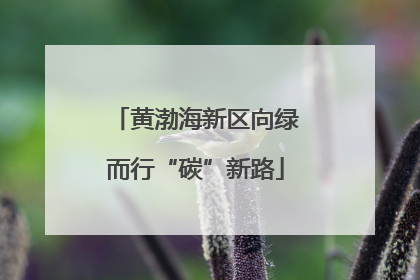 黄渤海新区向绿而行“碳”新路
