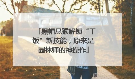 黑帽悬猴解锁“干饭”新技能，原来是园林师的神操作