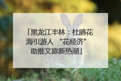 黑龙江丰林：杜鹃花海引游人 “花经济”助推文旅新热潮