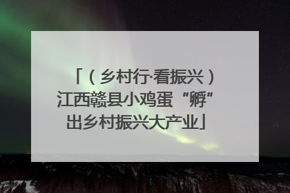 （乡村行·看振兴）江西赣县小鸡蛋“孵”出乡村振兴大产业