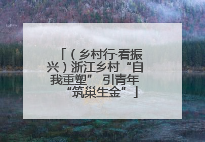 （乡村行·看振兴）浙江乡村“自我重塑” 引青年“筑巢生金”
