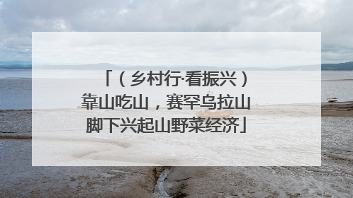 （乡村行·看振兴）靠山吃山，赛罕乌拉山脚下兴起山野菜经济