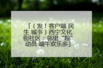 （发！客户端 民生 城事）西宁文化街社区：邻里“粽”动员 端午欢乐多