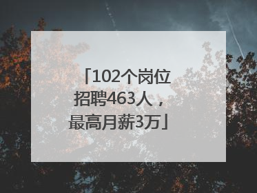 102个岗位招聘463人，最高月薪3万