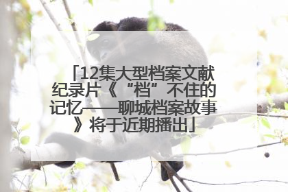 12集大型档案文献纪录片《“档”不住的记忆——聊城档案故事》将于近期播出