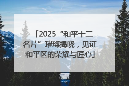2025“和平十二名片”璀璨揭晓，见证和平区的荣耀与匠心