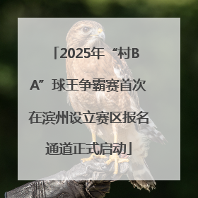 2025年“村BA”球王争霸赛首次在滨州设立赛区报名通道正式启动