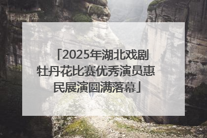 2025年湖北戏剧牡丹花比赛优秀演员惠民展演圆满落幕
