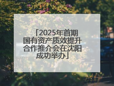 2025年首期国有资产质效提升合作推介会在沈阳成功举办