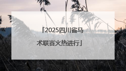 2025四川省马术联赛火热进行