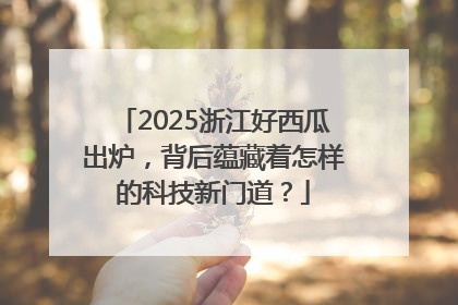 2025浙江好西瓜出炉，背后蕴藏着怎样的科技新门道？