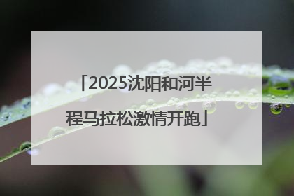 2025沈阳和河半程马拉松激情开跑