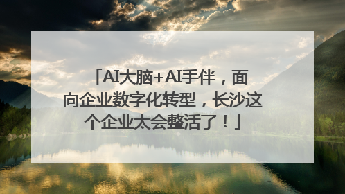 AI大脑+AI手伴，面向企业数字化转型，长沙这个企业太会整活了！