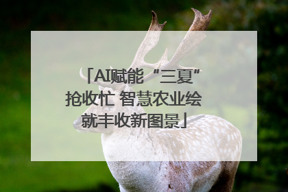 AI赋能“三夏”抢收忙 智慧农业绘就丰收新图景