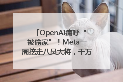 OpenAI痛呼“被偷家”！Meta一周挖走八员大将，千万美元薪酬战开打