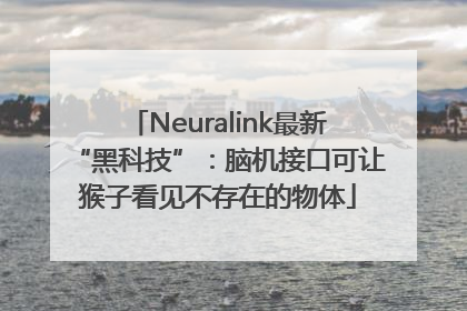 Neuralink最新“黑科技”：脑机接口可让猴子看见不存在的物体